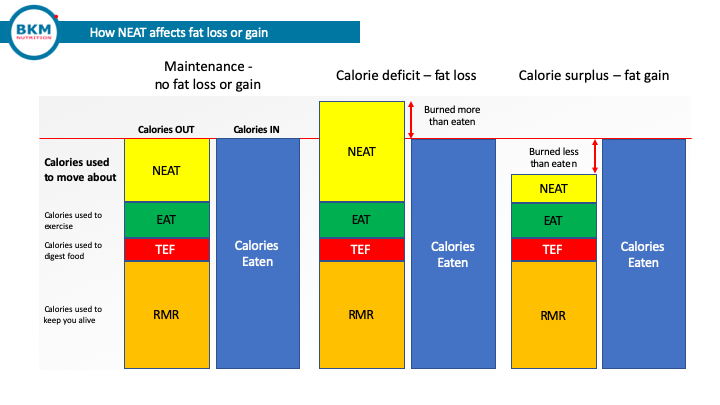 700 calories a day - chart showing how NEAT levels affect fat loss