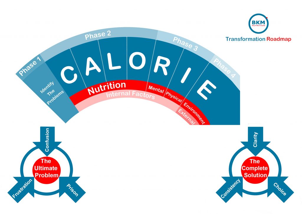 The CALORIE system infographic