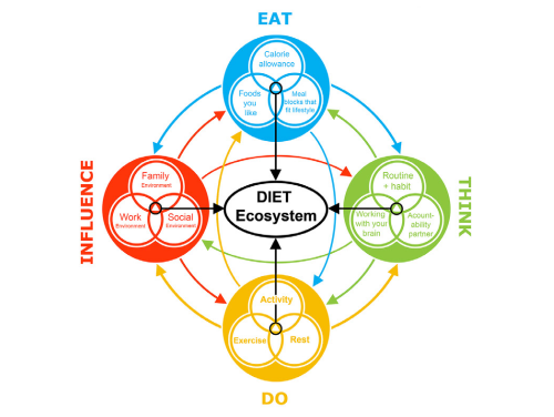 how good is your diet diagram